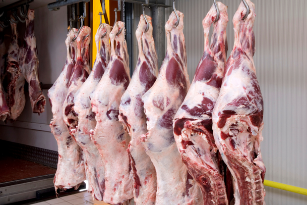 Doğal Et Kasap Beylikdüzü Yakuplu - Dana Et Çeşitleri